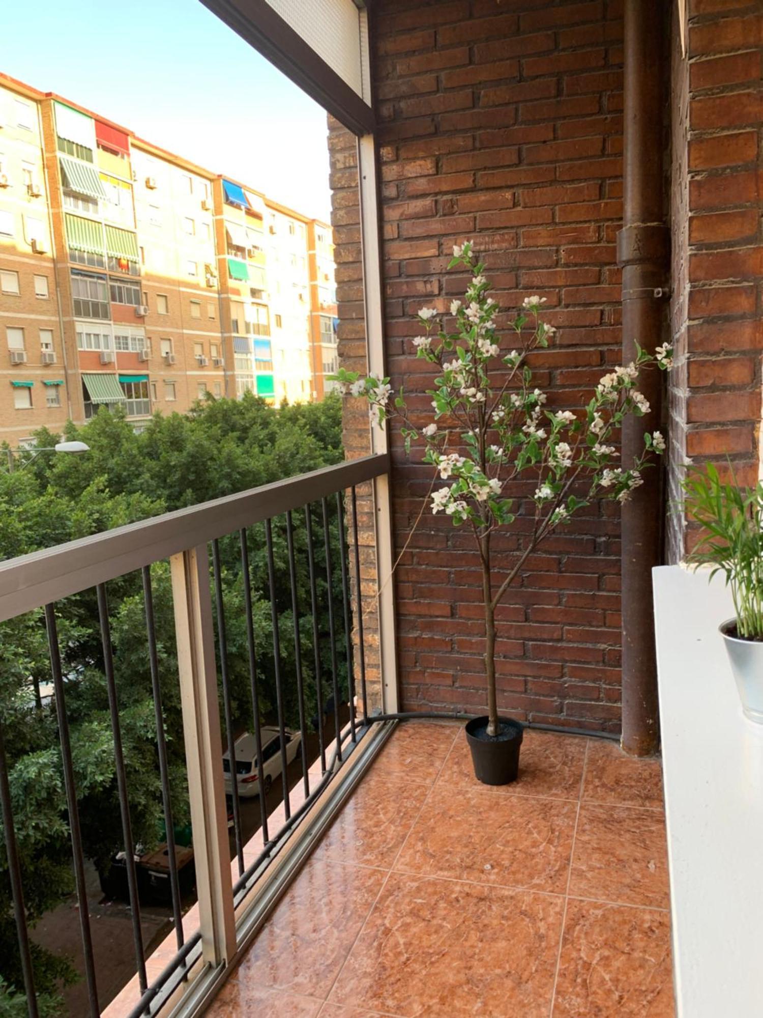 Bueno, Bonito Y Barato Apartment Málaga